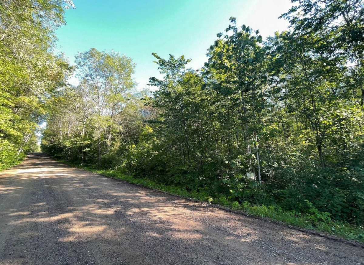 Picture of Residential Land For Sale in Garrison, Minnesota, United States