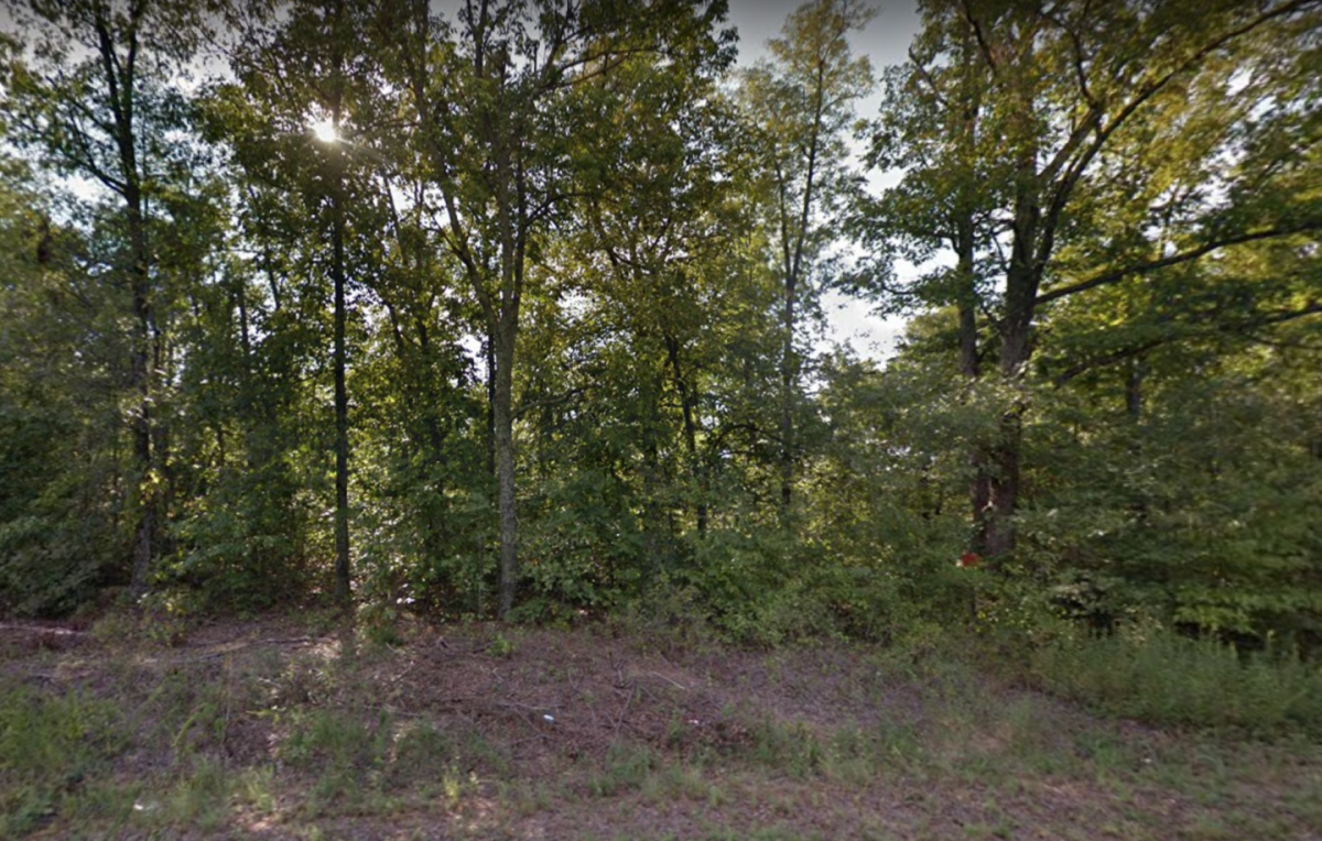 Picture of Residential Land For Sale in Williford, Arkansas, United States