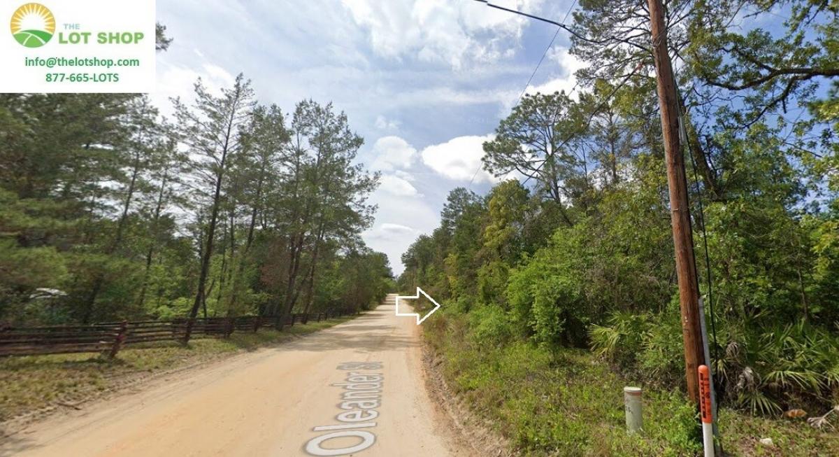 Picture of Residential Land For Sale in Pomona Park, Florida, United States