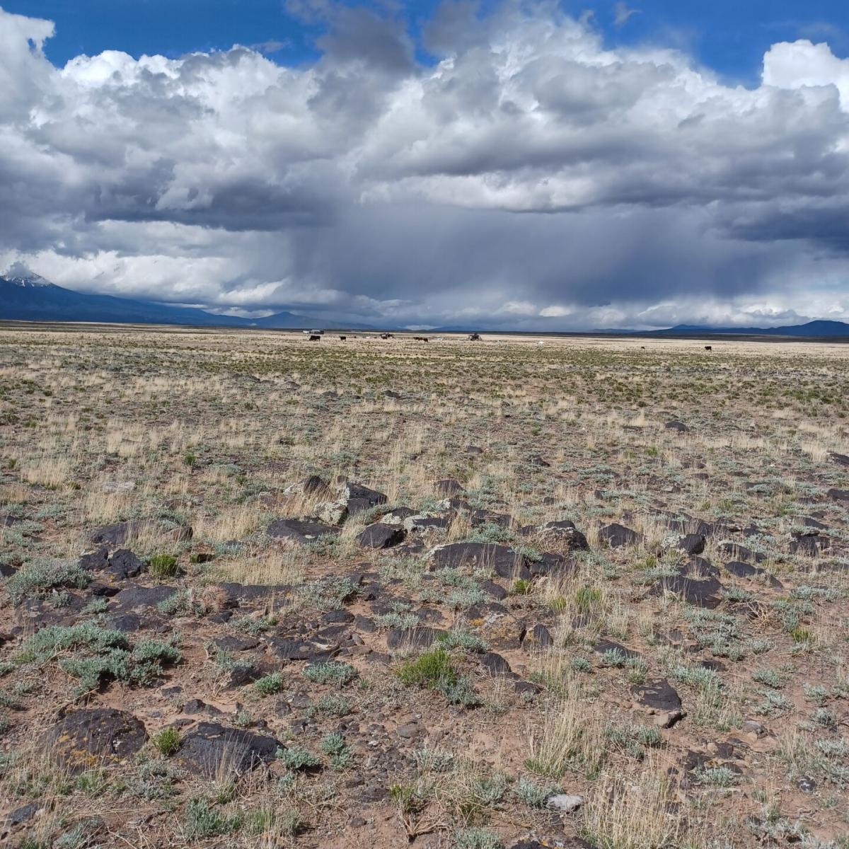 Picture of Residential Land For Sale in Blanca, Colorado, United States