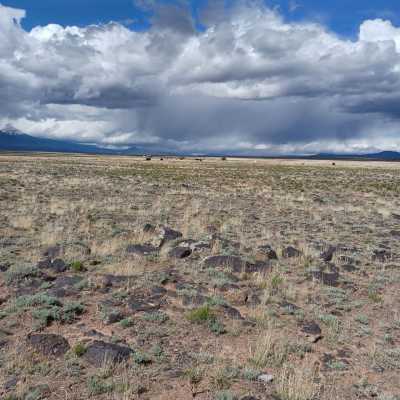 Residential Land For Sale in Blanca, Colorado