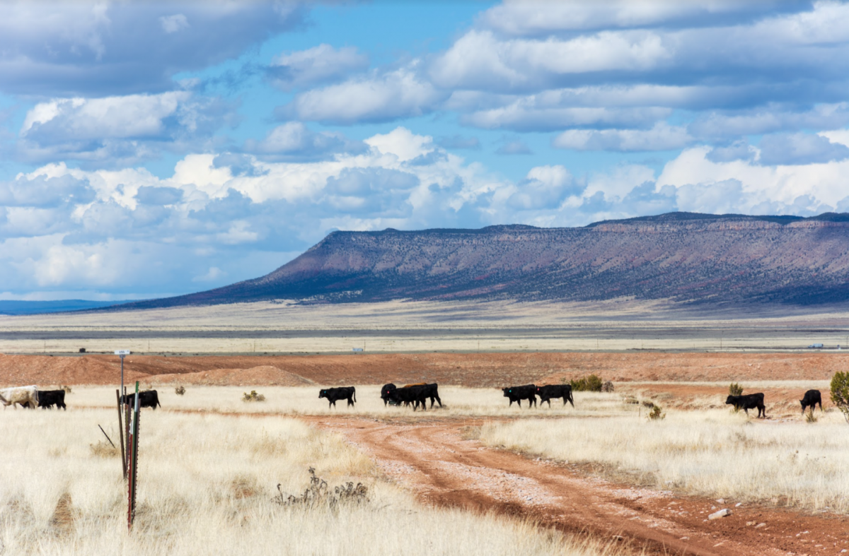 Picture of Residential Land For Sale in Seligman, Arizona, United States