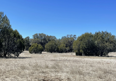 Residential Land For Sale in Seligman, Arizona