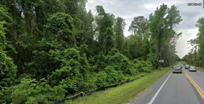 Residential Land For Sale in Satsuma, Florida