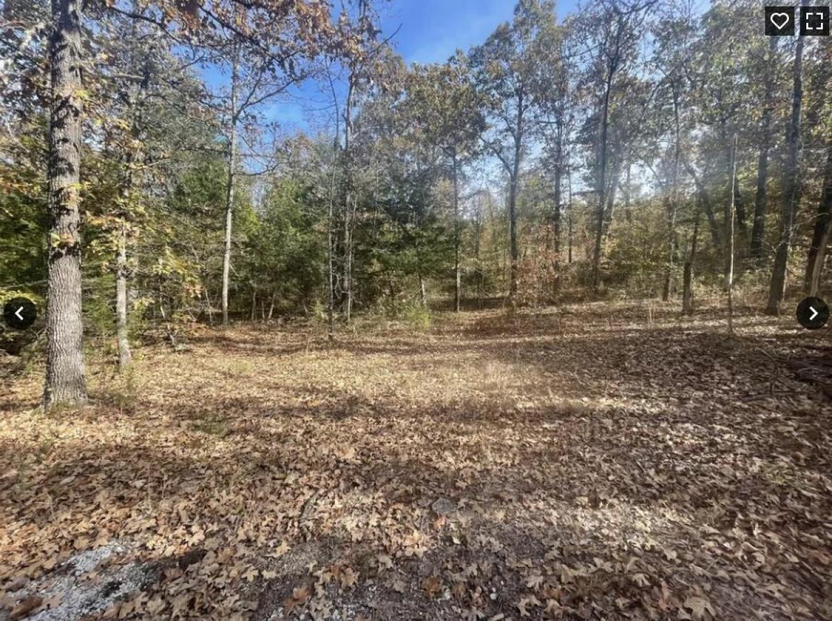 Picture of Residential Land For Sale in Horseshoe Bend, Arkansas, United States