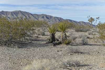 Residential Land For Sale in Meadview, Arizona