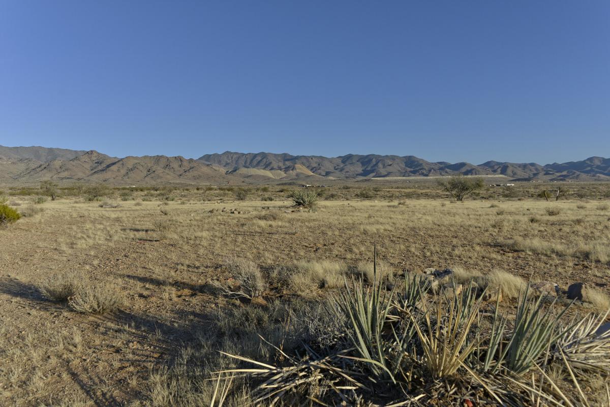 Picture of Residential Land For Sale in Yucca, Arizona, United States