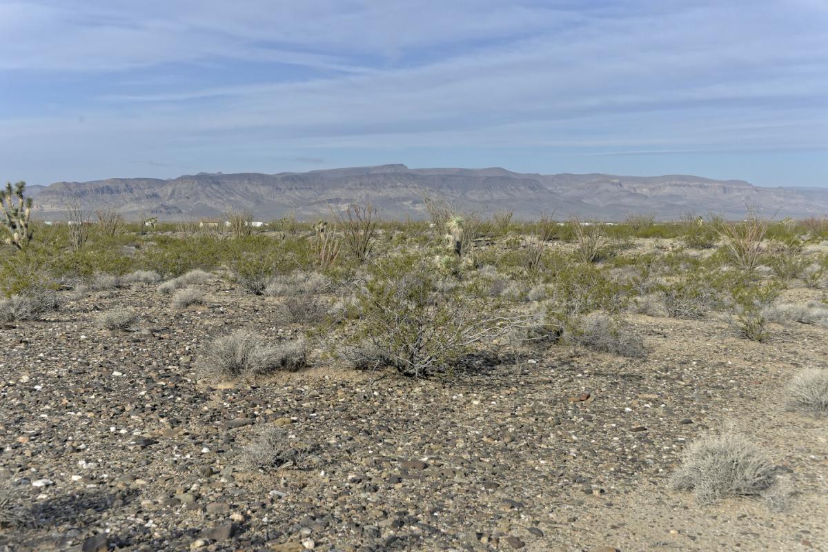 Picture of Residential Land For Sale in Yucca, Arizona, United States