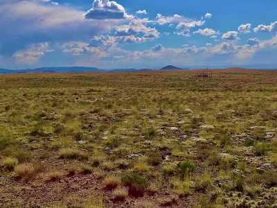 Residential Land For Sale in Blanca, Colorado