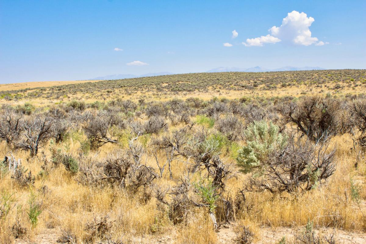 Picture of Residential Land For Sale in Elko, Nevada, United States