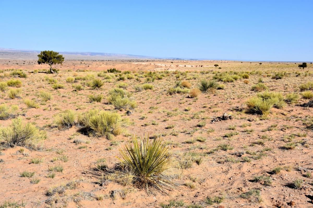 Picture of Residential Land For Sale in Veguita, New Mexico, United States