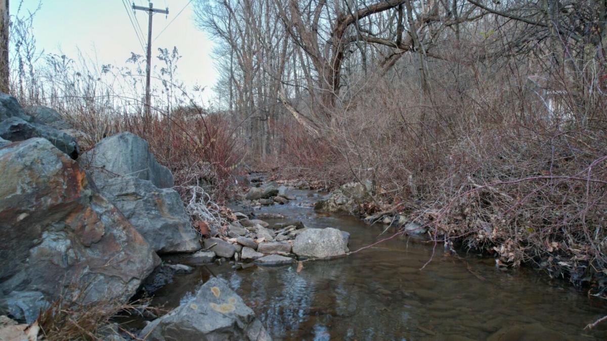 Picture of Residential Land For Sale in Simpson, Pennsylvania, United States