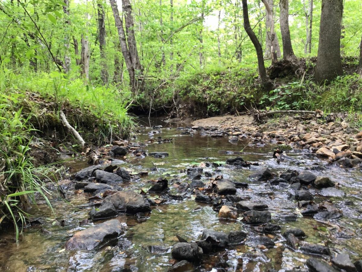 Picture of Residential Land For Sale in Huddleston, Virginia, United States