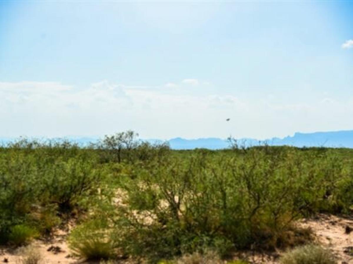 Picture of Residential Land For Sale in Van Horn, Texas, United States