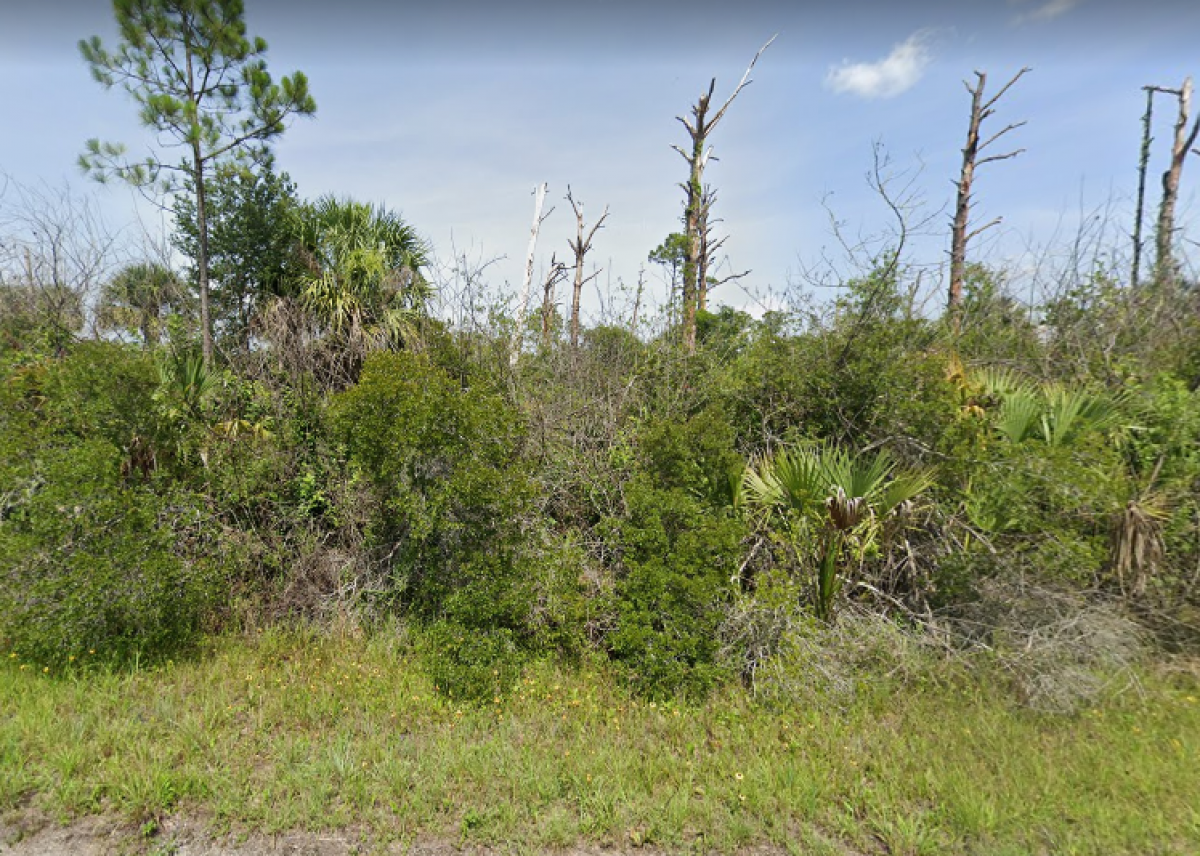 Picture of Residential Land For Sale in Arcadia, Florida, United States