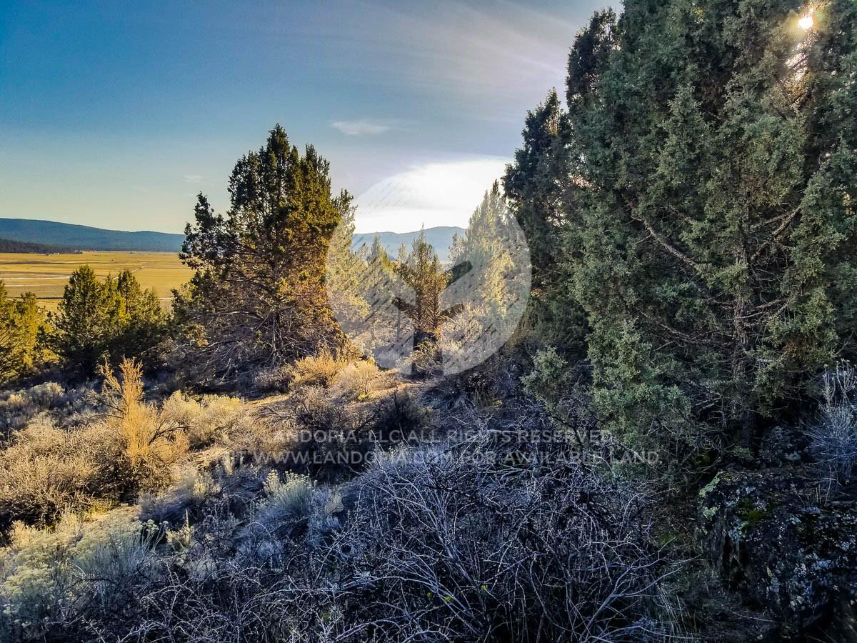 Picture of Residential Land For Sale in Sprague River, Oregon, United States