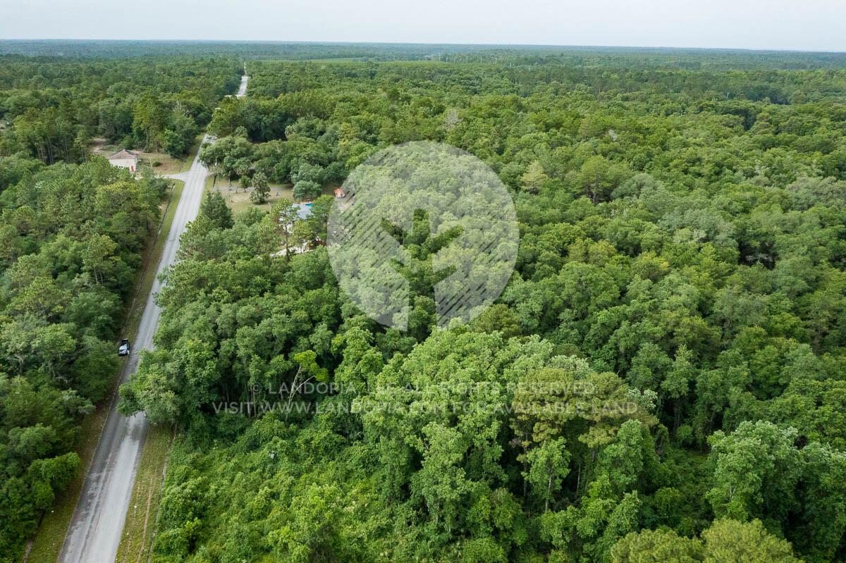 Picture of Residential Land For Sale in Satsuma, Florida, United States