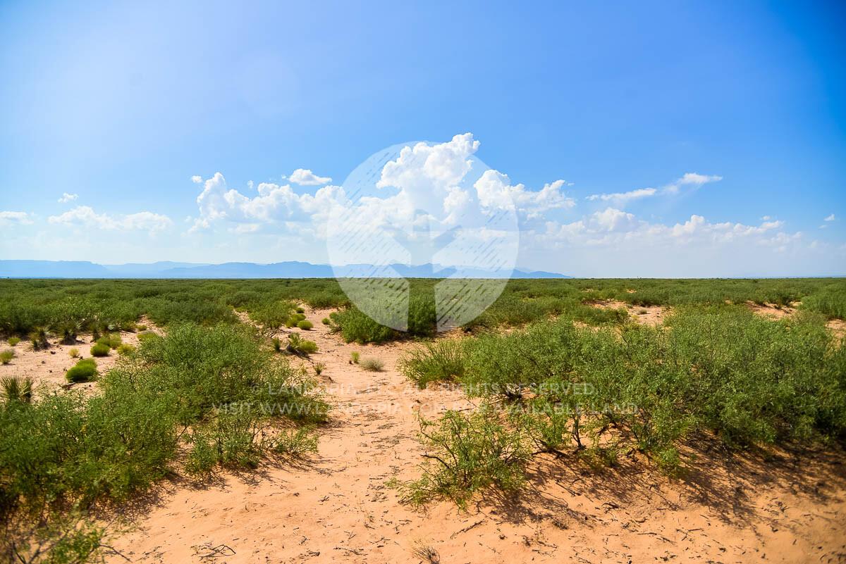 Picture of Residential Land For Sale in Fort Hancock, Texas, United States