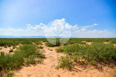 Residential Land For Sale in Fort Hancock, Texas