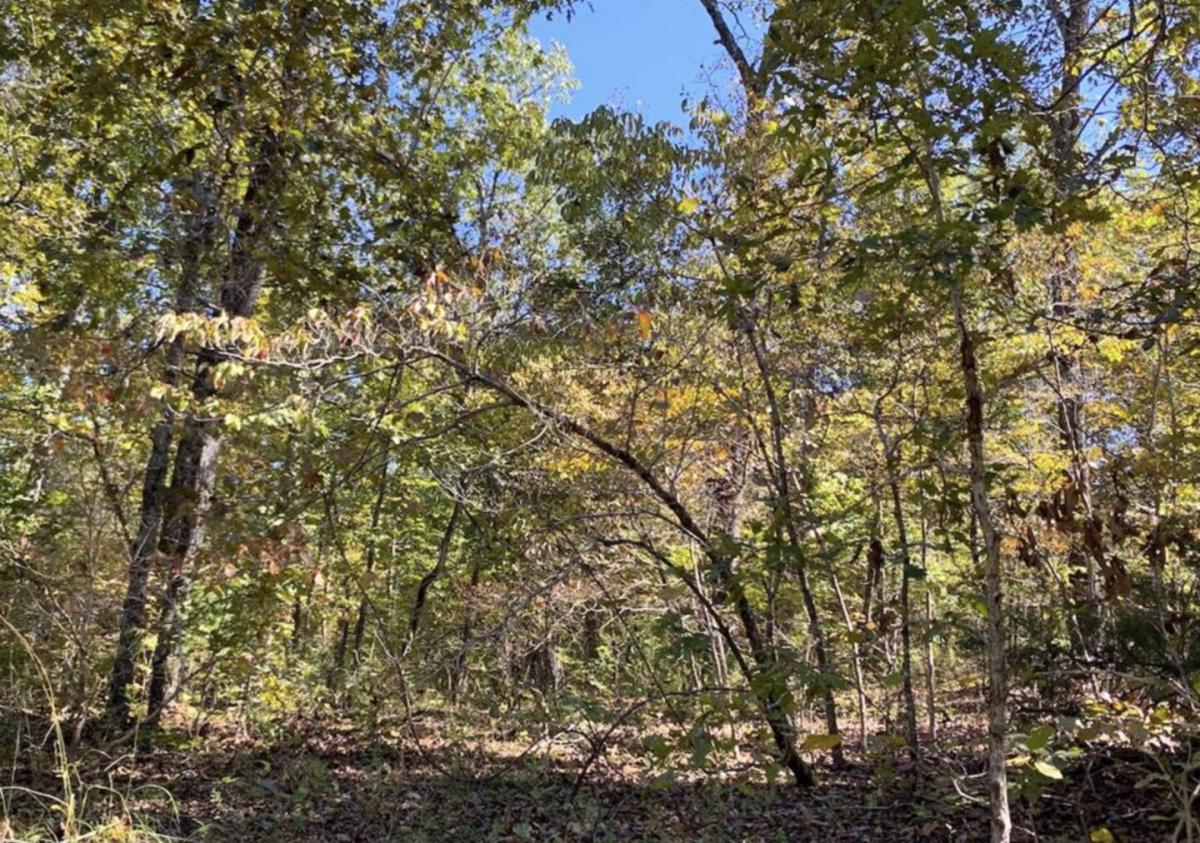 Picture of Residential Land For Sale in Highland, Arkansas, United States