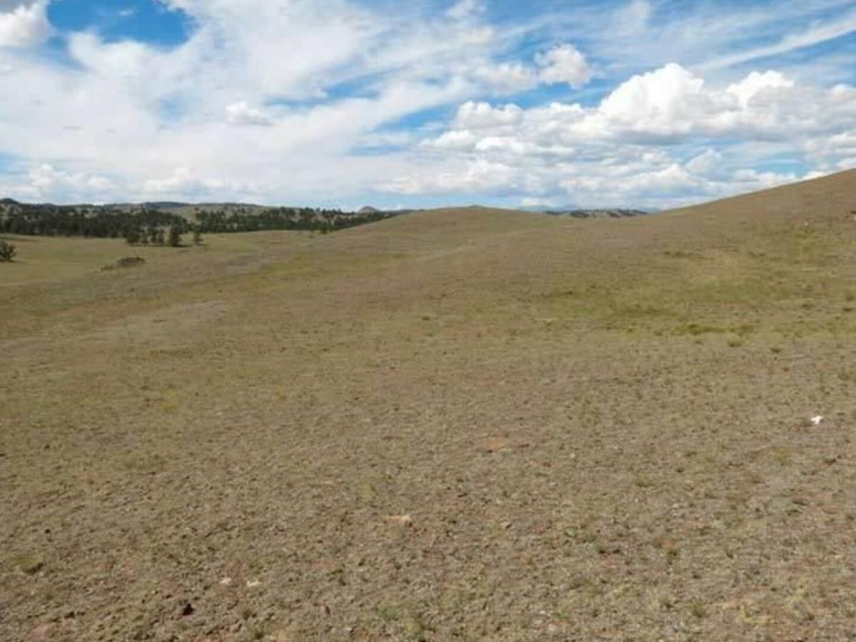 Picture of Residential Land For Sale in Guffey, Colorado, United States