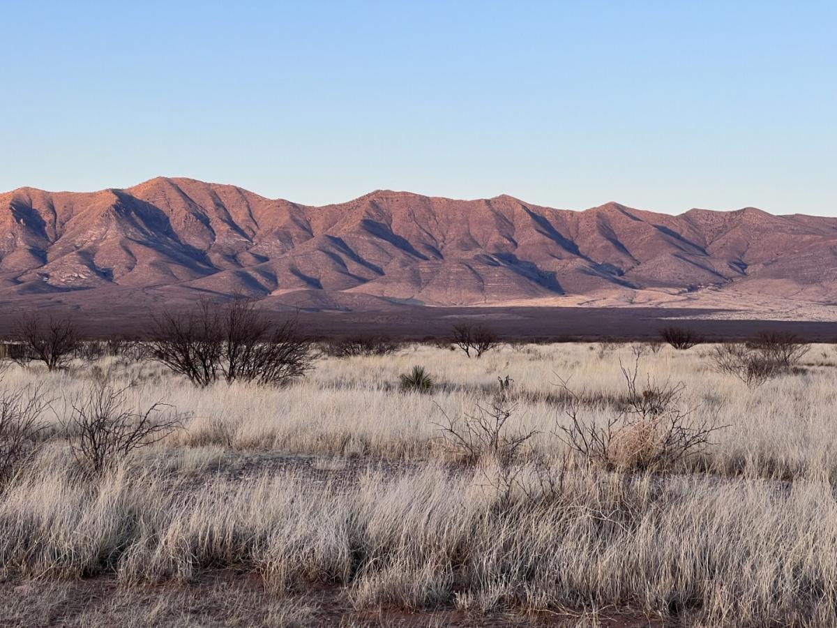 Picture of Residential Land For Sale in McNeal, Arizona, United States