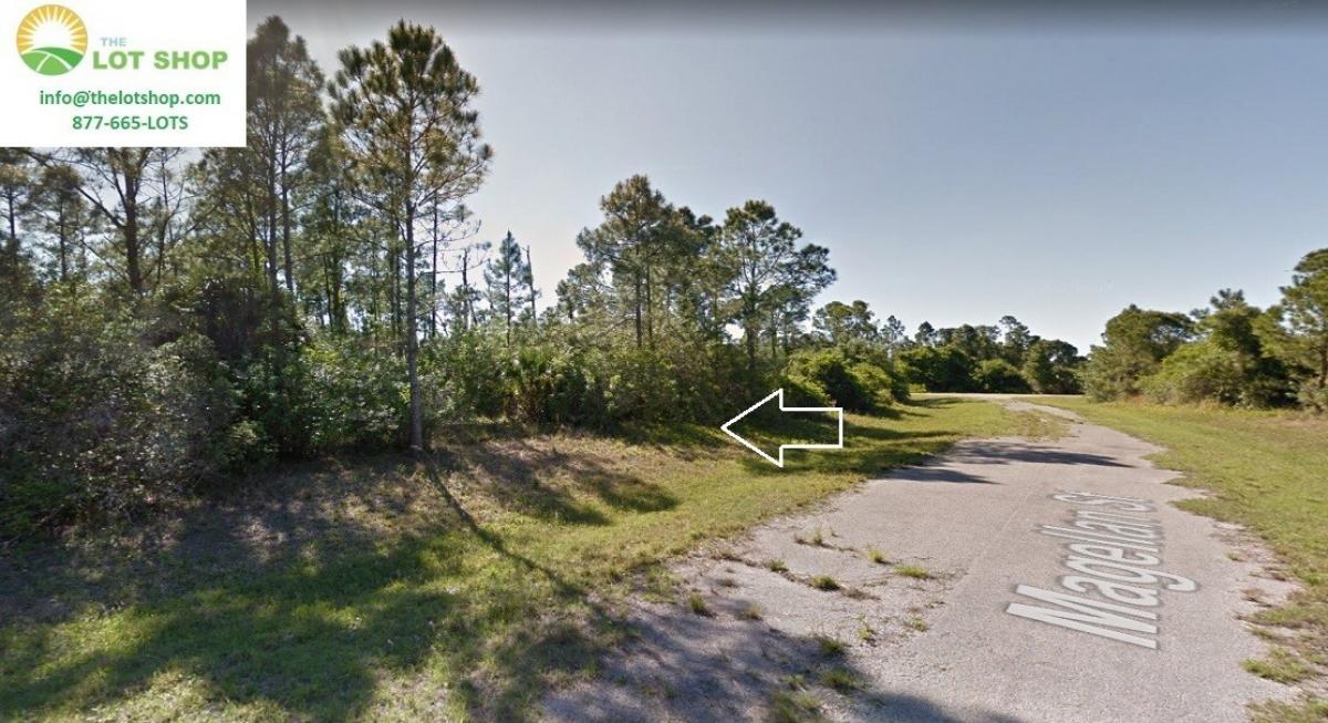 Picture of Residential Land For Sale in Arcadia, Florida, United States