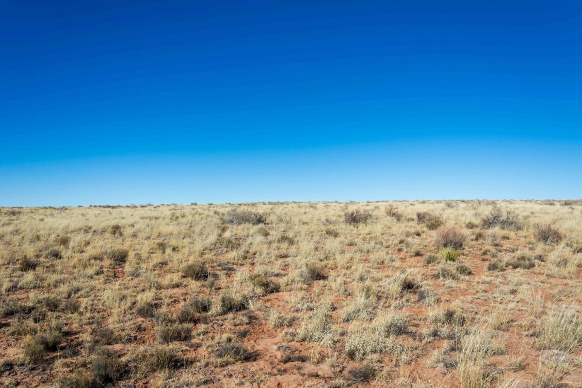 Picture of Residential Land For Sale in Holbrook, Arizona, United States