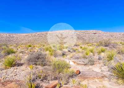 Residential Land For Sale in Sierra Blanca, Texas