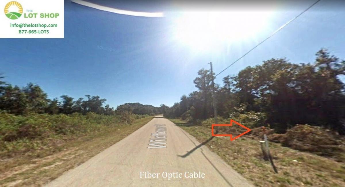 Picture of Residential Land For Sale in Lake Placid, Florida, United States