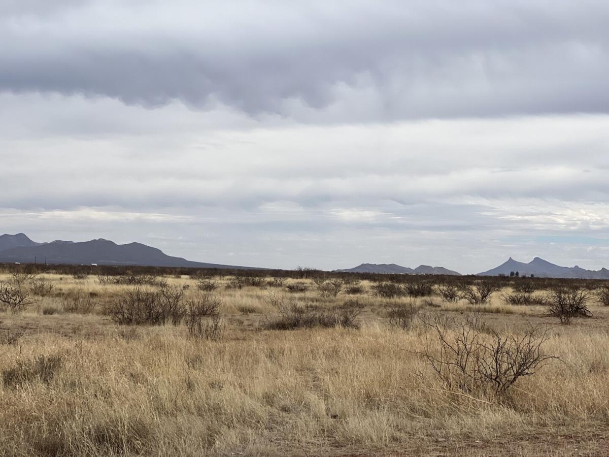 Picture of Residential Land For Sale in McNeal, Arizona, United States