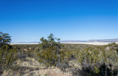 Residential Land For Sale in Seligman, Arizona