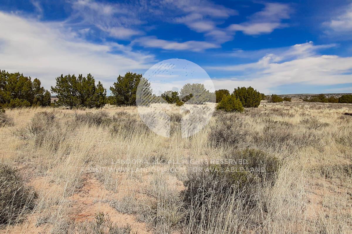 Picture of Residential Land For Sale in Sanders, Arizona, United States