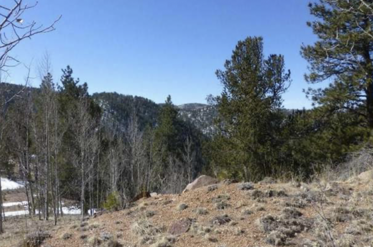 Picture of Residential Land For Sale in Divide, Colorado, United States