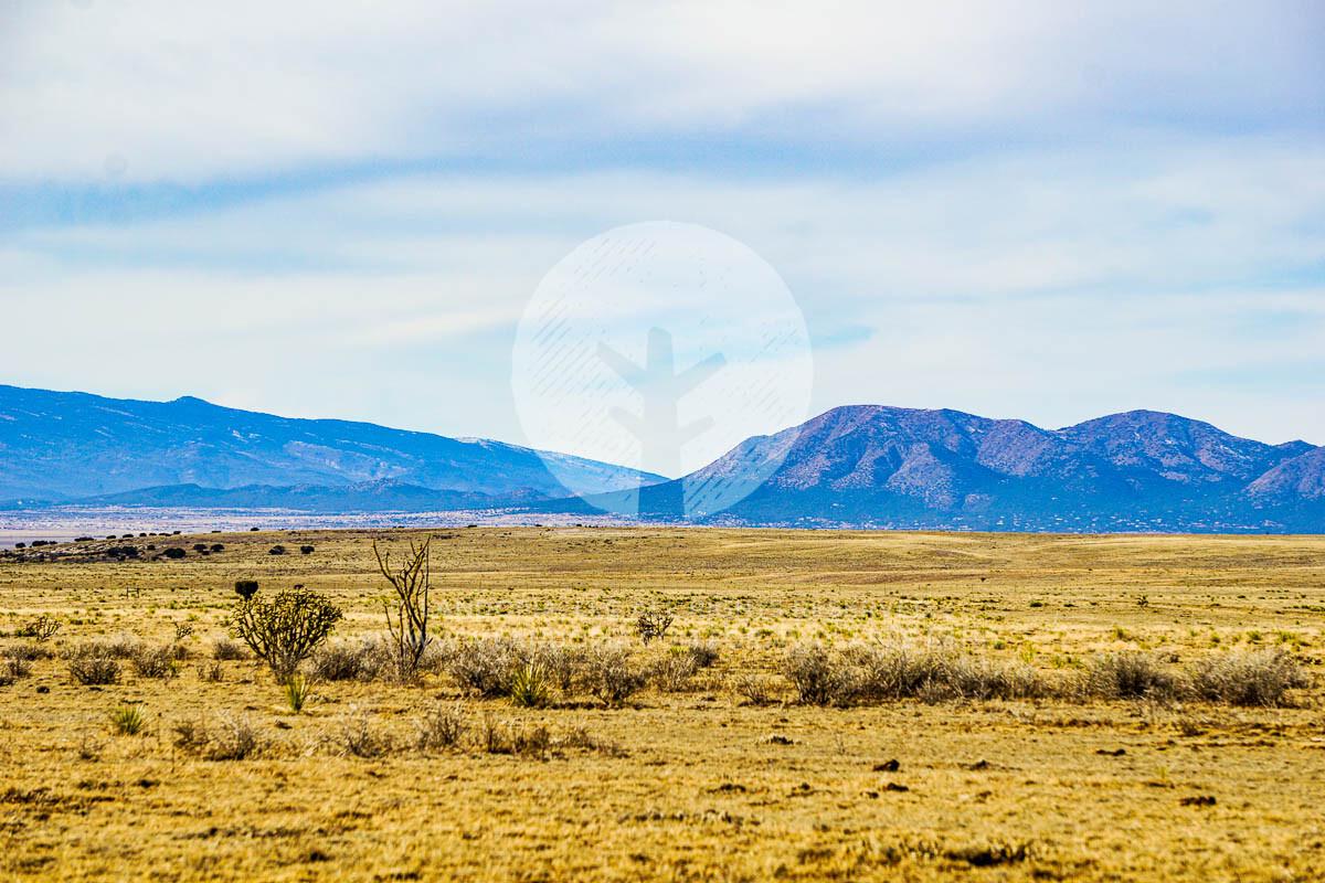 Picture of Residential Land For Sale in Moriarty, New Mexico, United States