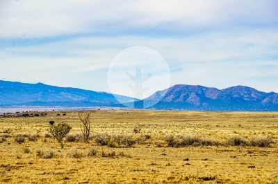 Residential Land For Sale in Moriarty, New Mexico