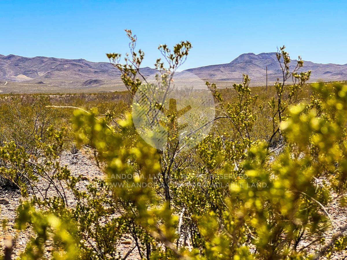 Picture of Residential Land For Sale in Alpine, Texas, United States