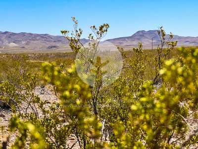 Residential Land For Sale in Alpine, Texas