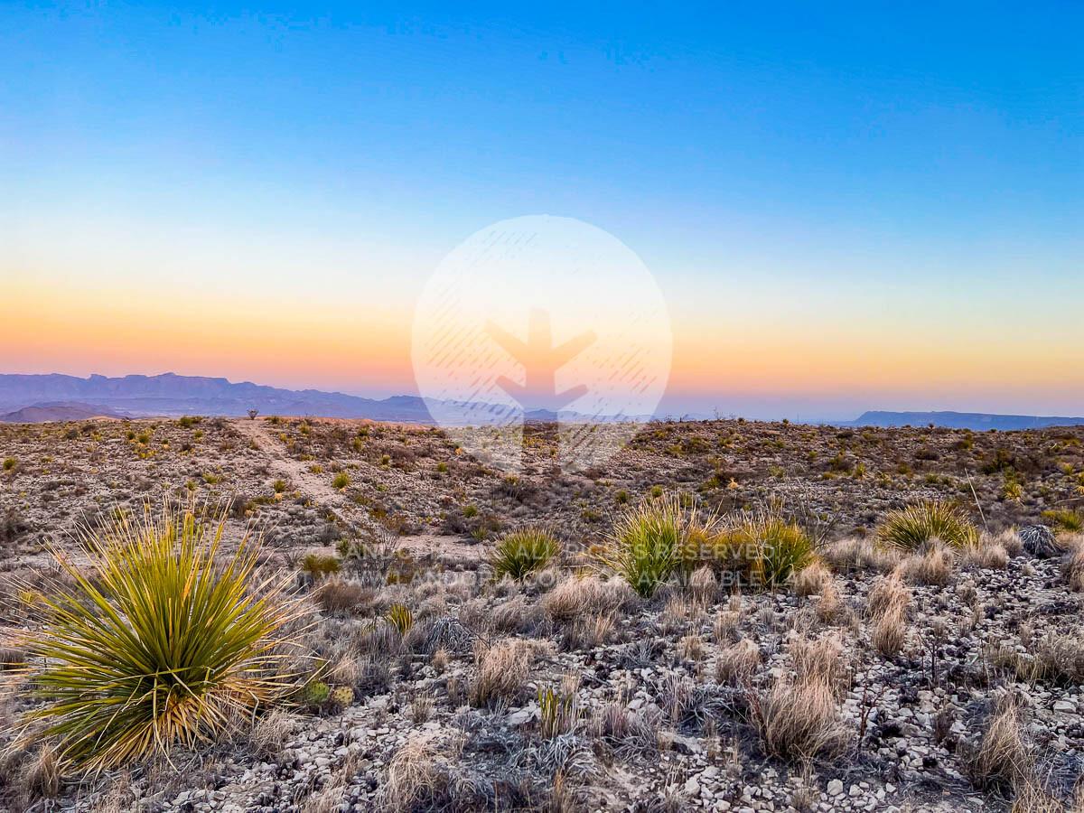 Picture of Residential Land For Sale in Terlingua, Texas, United States