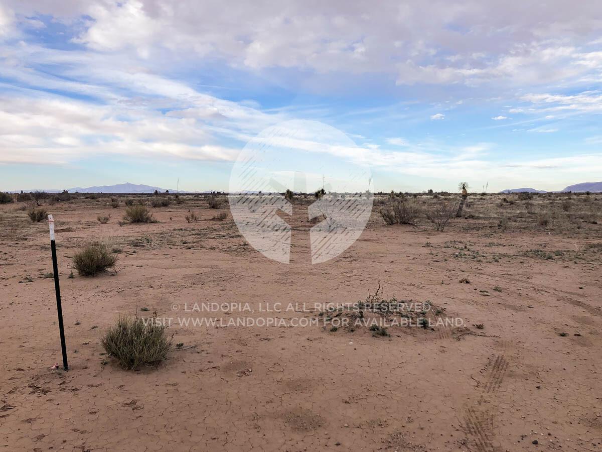 Picture of Residential Land For Sale in Columbus, New Mexico, United States