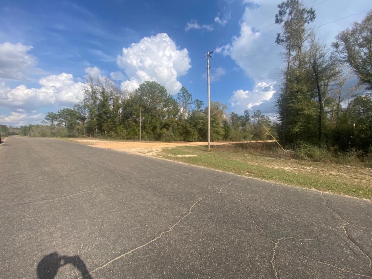 Picture of Residential Land For Sale in Alford, Florida, United States