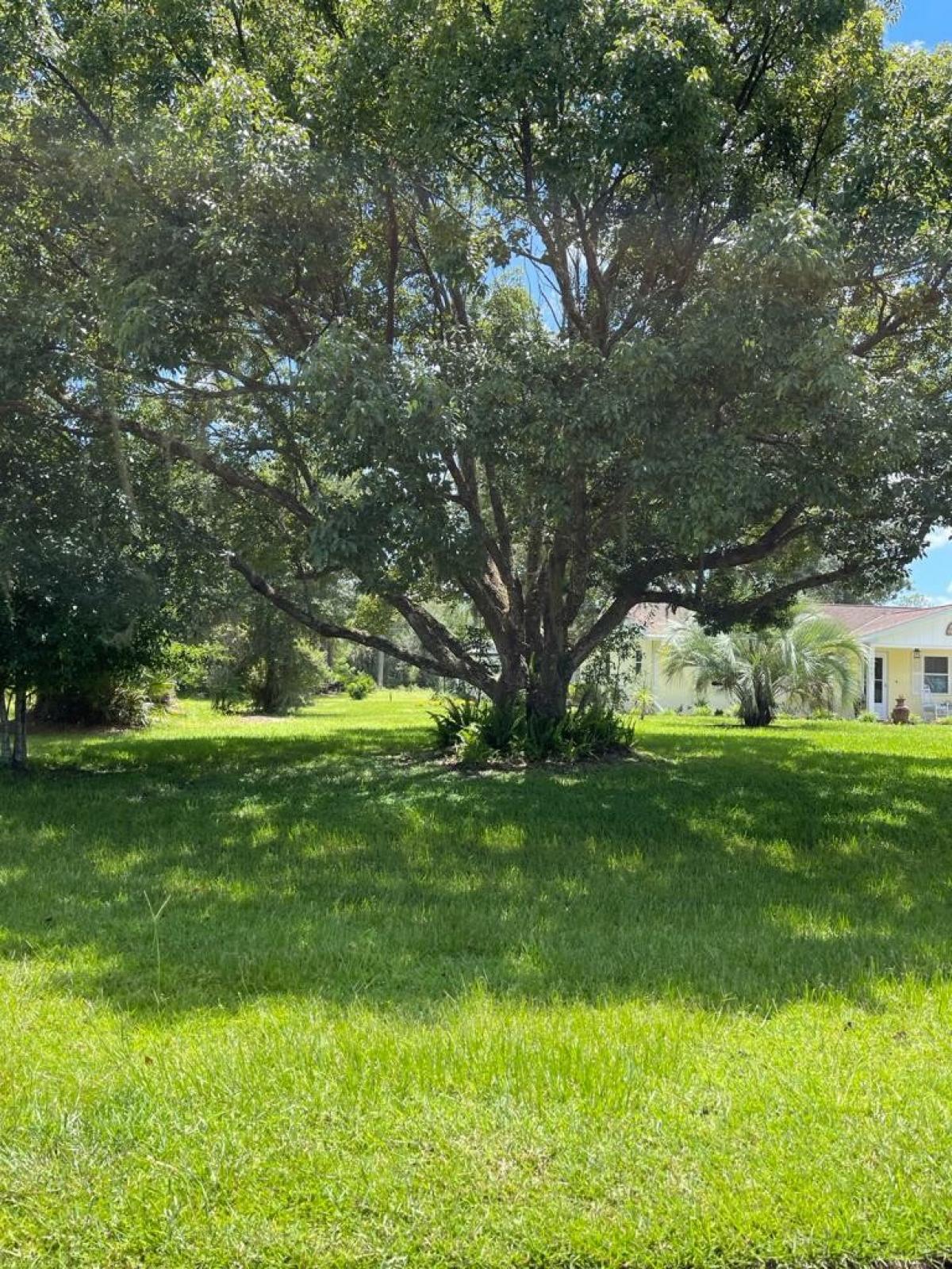 Picture of Residential Land For Sale in Lake Wales, Florida, United States