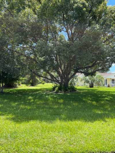 Residential Land For Sale in Lake Wales, Florida