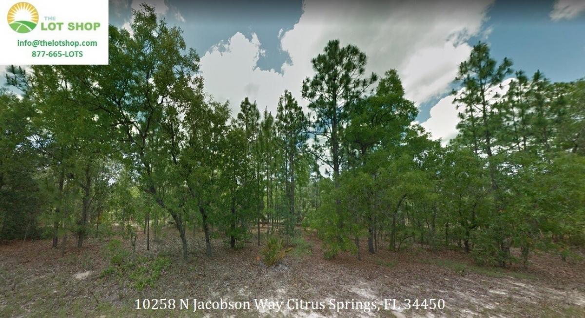 Picture of Residential Land For Sale in Citrus Springs, Florida, United States