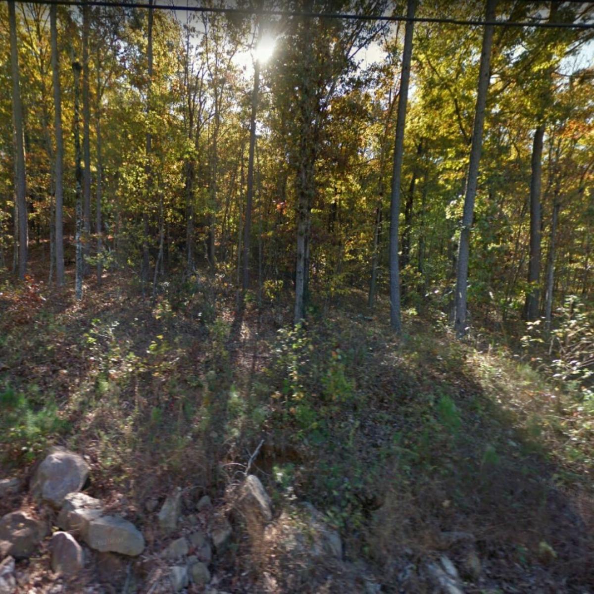 Picture of Residential Land For Sale in Fairfield Bay, Arkansas, United States