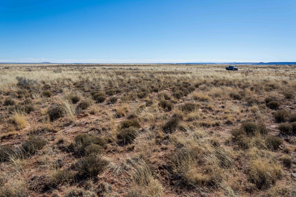 Picture of Residential Land For Sale in Holbrook, Arizona, United States