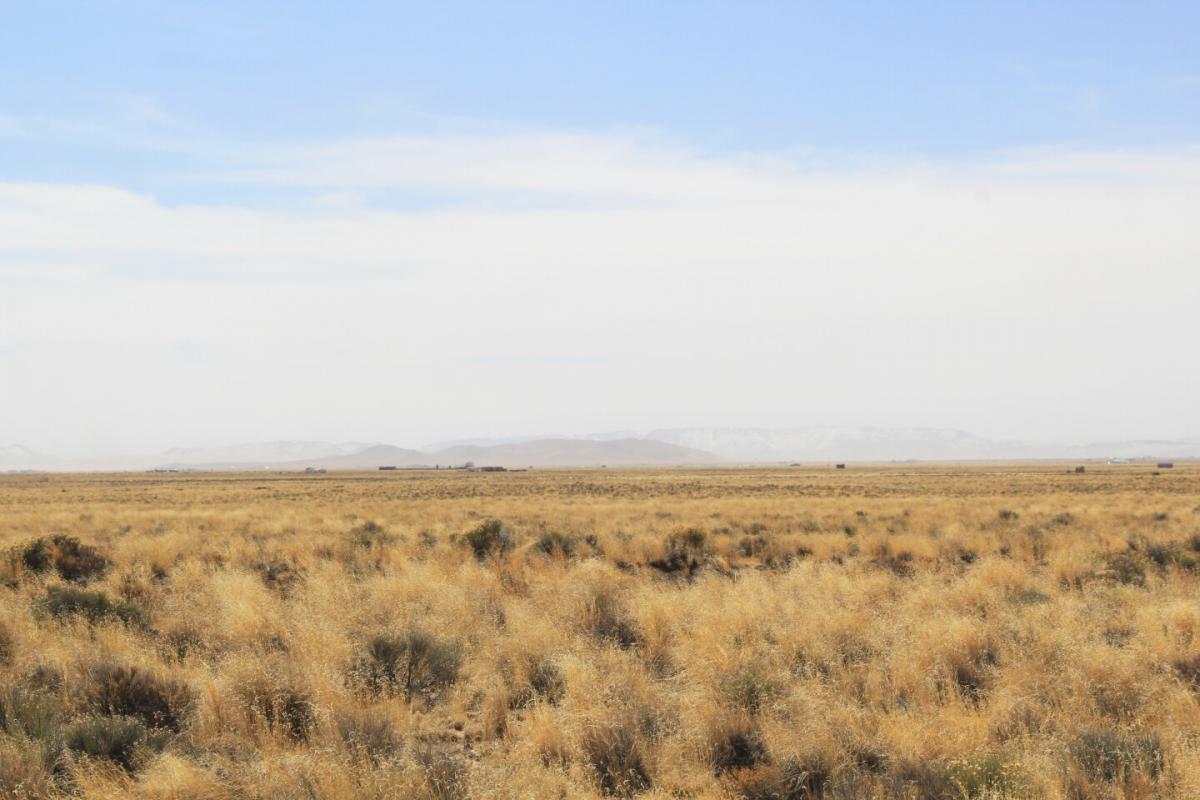 Picture of Residential Land For Sale in Alamosa, Colorado, United States