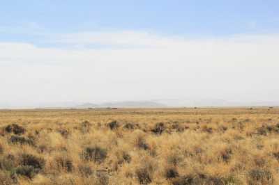 Residential Land For Sale in Alamosa, Colorado