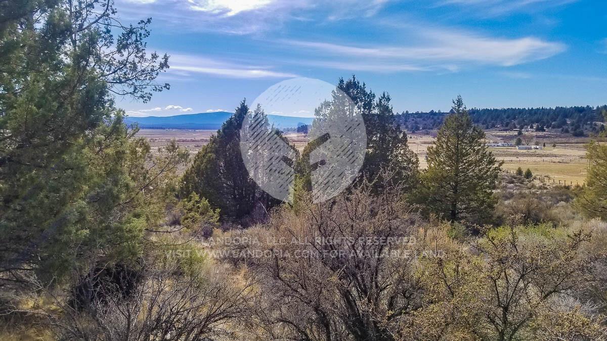 Picture of Residential Land For Sale in Chiloquin, Oregon, United States