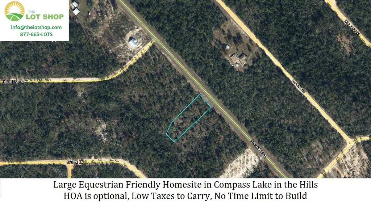 Picture of Residential Land For Sale in Marianna, Florida, United States